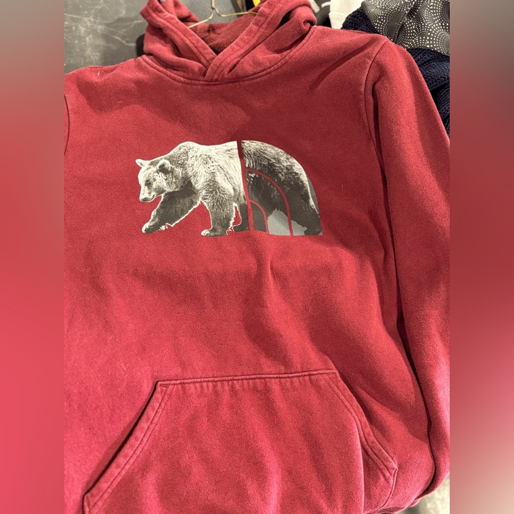 Boys NorthFace hoodie